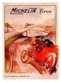 Michelin  Tire Vanquished Rail