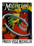 Michelin  Indian Bicycle Tire