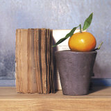 Orange and Book