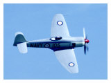 Super Marine Seafire