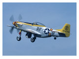 P-51 Mustang