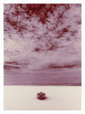 Salt Flat Land Speed Cloud