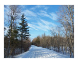 Snowmobile Trail In Maine