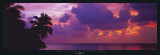 Maldive Mood