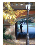 CLARINET IN THE PARK