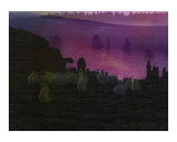 Lonely Bunnies