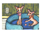 Chihuahua Dog Buddies