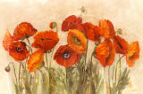 Vibrant Poppies