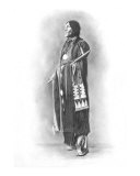 Wolf Robe