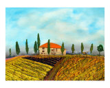 Somewhere in Tuscany VI