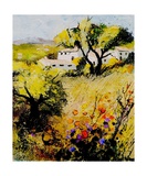 Provence 560206