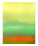 Citrus Dreams
