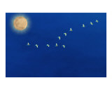 Golden Geese