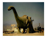 Tyrannosaurus Rex - Cabazon  CA