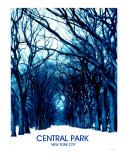 CENTRAL PARK  NEW YORK CITY