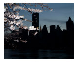 SKYLINE WITH LIGHTED CHRYSLER