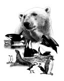 Arctic Encounter