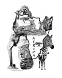 Africa