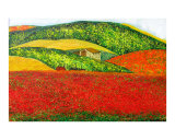 Somewhere in Tuscany XI