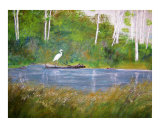 Crane Lake