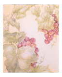 Grapevine