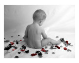 Petals (3 of 4)