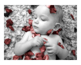 Petals (4 of 4)