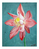 Lotus Flower