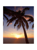 Cayman Island Sunset