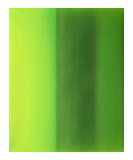 Color Works 6
