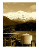 new zealand spring