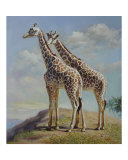 Romance in Africa