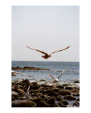 And he is before all things  and by him all things consist: Colossians 1:17