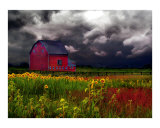 The Red Barn