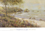Wildflowers at the Sea