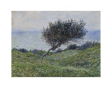 Sea Coast at Trouville