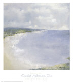 Coastal Afternoon I