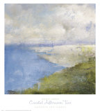 Coastal Afternoon II