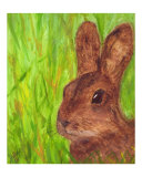 Easter Bunny in Grass