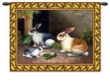 Lapin