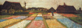Flower Beds in Holland  c1883
