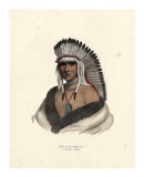 Pawnee Brave