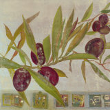 Olive II