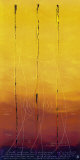 Universal Vibration III