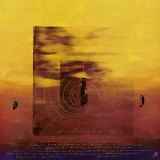 Universal Vibration II