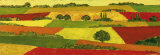 Landscape V