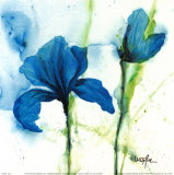Lily I