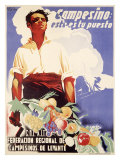 Spanish Farm Workers