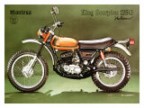 Montesa 250 King Scorpion Motorcycle