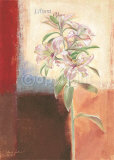 Exquisiteness